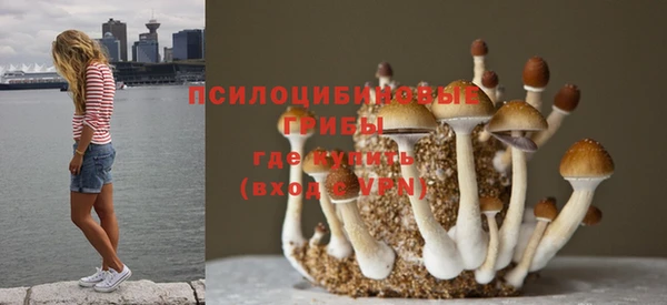 мет Абдулино