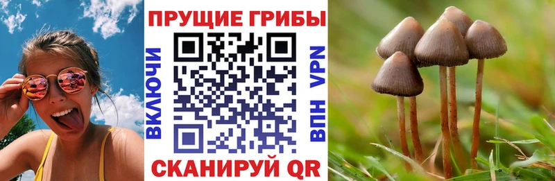 MEGA tor  купить наркоту  Нерехта  Галлюциногенные грибы прущие грибы 